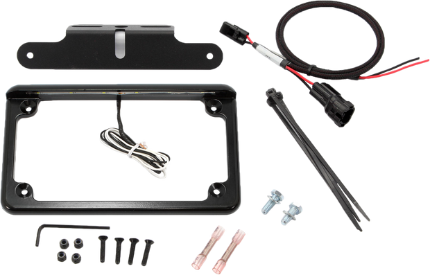 License Plate W/ Led