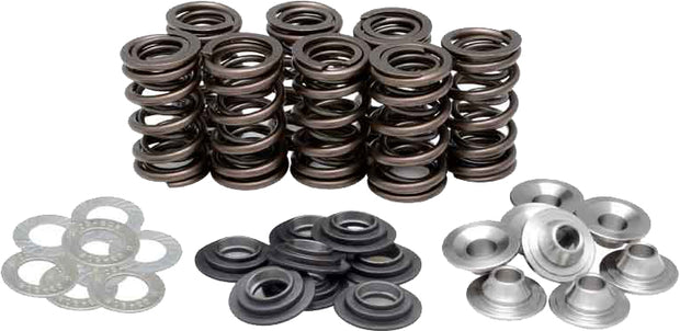 Racing Valve Spring Kit