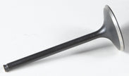 Black Diamond Intake Valve