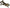 Performance Camshaft