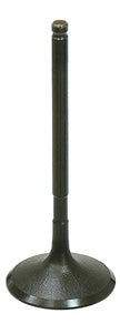 Intake Valve
