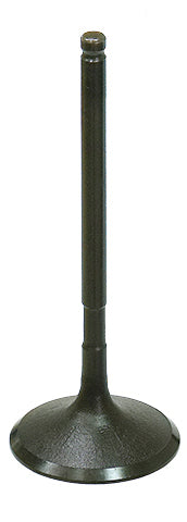 Intake Valve