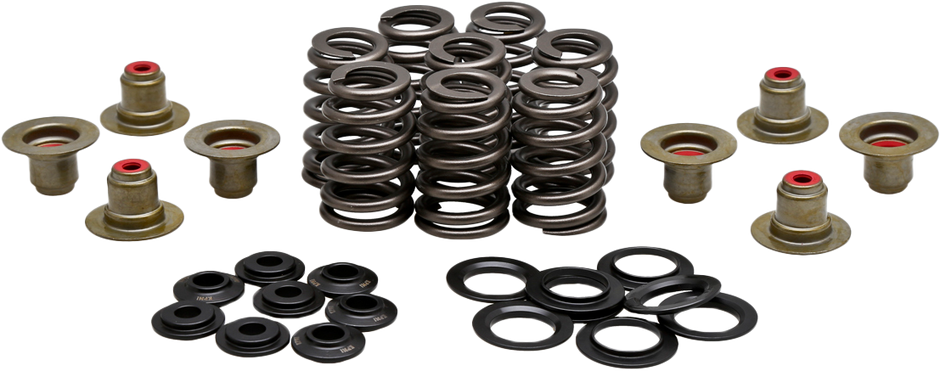 Beehive Valve Spring Kit .550 Lift  M8`17 24 Non Vvt