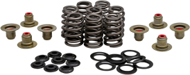 Beehive Valve Spring Kit .550 Lift  M8`17 24 Non Vvt