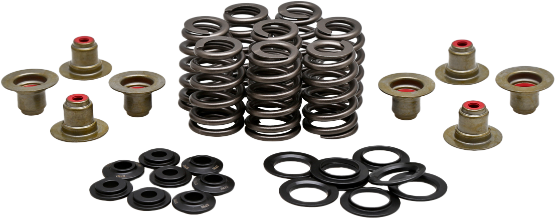 Beehive Valve Spring Kit .550 Lift  M8`17 24 Non Vvt
