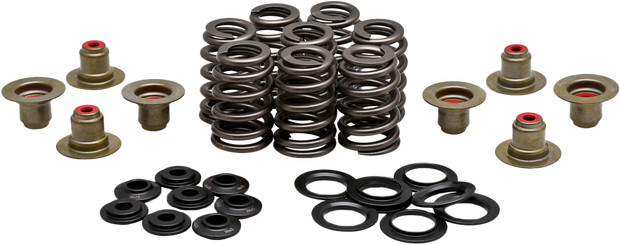 Beehive Valve Spring Kit .550 Lift  M8`17 24 Non Vvt
