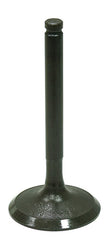 Intake Valve
