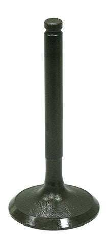 Intake Valve