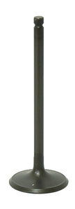 Intake Valve