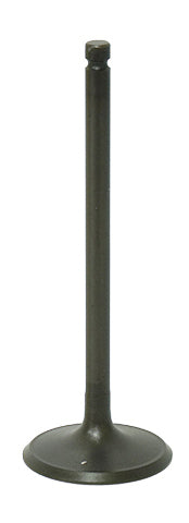 Intake Valve