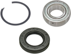 Chain Case Bearing Kit S D