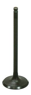 Intake Valve