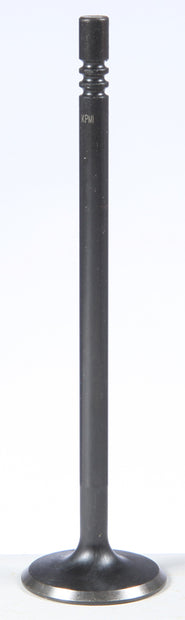 Black Diamond Exhaust Valve