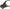 Shifter Fork 3rd 5th 80 06 5 Speeds