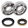Crankshaft Bearing / Seal Kit Gas