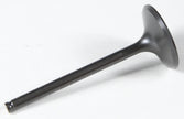Black Diamond Intake Valve
