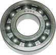 Crankshaft Bearing