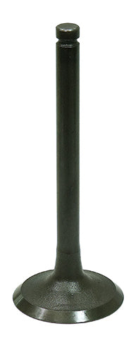 Intake Valve