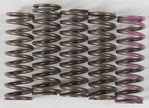 Hinson High Temp Springs