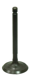 Intake Valve