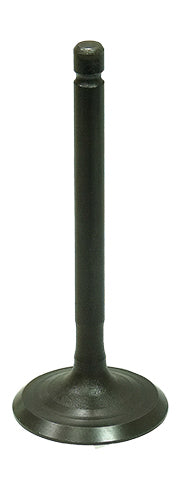 Intake Valve