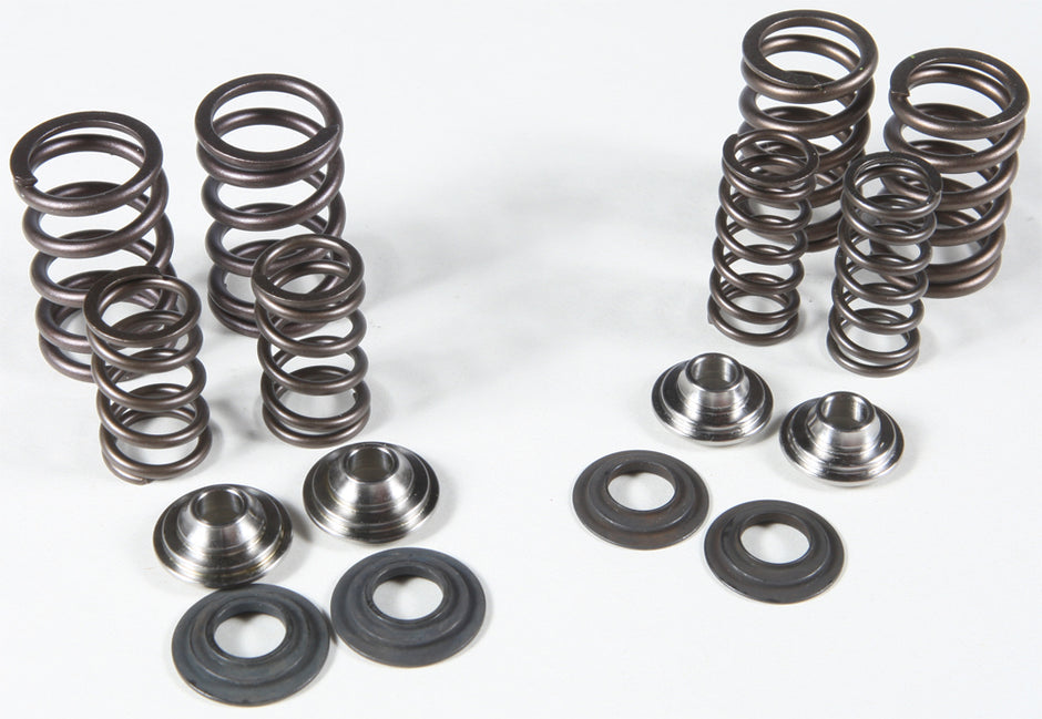 Racing Valve Spring Kit