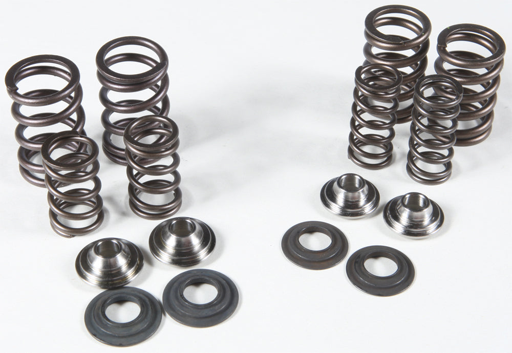 Racing Valve Spring Kit