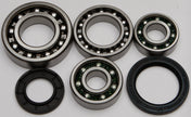 Rear Differential Bearing And Seal Kit