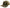 CA Tech USA Logo Snapback Hat - Mossy Oak Camo