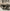 Can-Am X3 Rear Double Shear Bulkhead