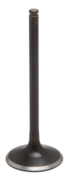 Black Diamond Exhaust Valve