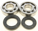 Crankshaft Bearing/Seal Kit