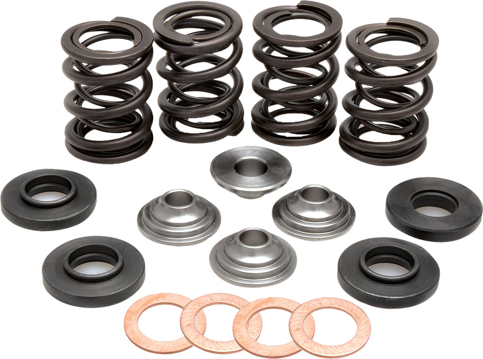 Racing Valve Spring Kit