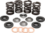 Racing Valve Spring Kit