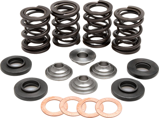 Racing Valve Spring Kit