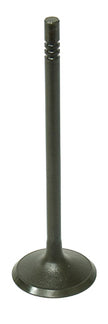 Intake Valve