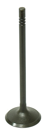 Intake Valve