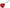 Oil Dipstick Red