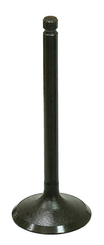 Intake Valve