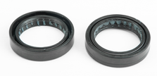 Pr/Fork Seals