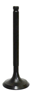 Intake Valve