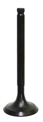 Intake Valve