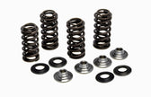 Racing Valve Spring Kit