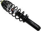 Gas Shock Front