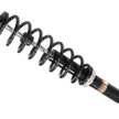Gas Shock Rear