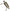 Skinz Super Q Silencer Arctic 6000 8000 A/C Ascender S/M