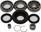 Rear Differential Bearing And Seal Kit