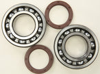 Main Bearing & Seal Kit