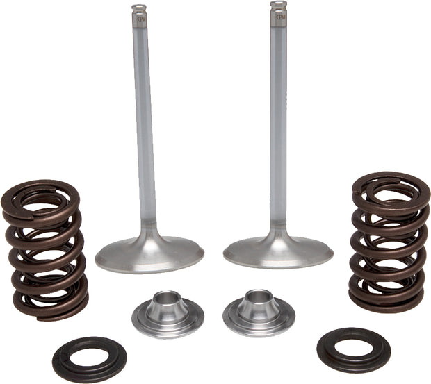 Intake Valve Spring Kit