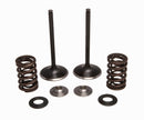 Intake Valve/Spring Kit Stainless